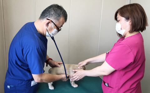 生体検査の徹底